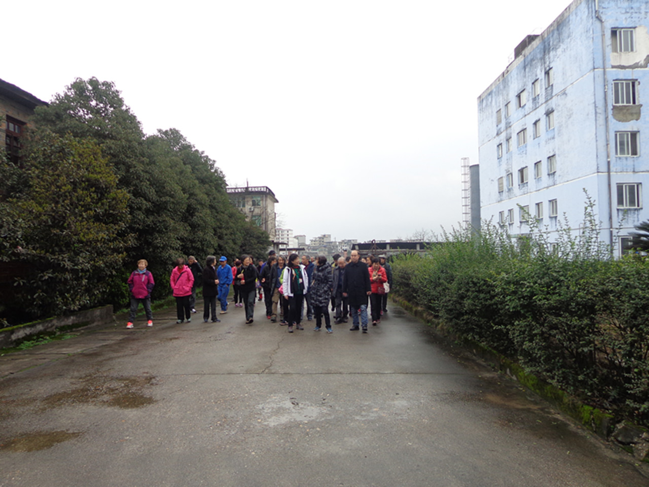 DSC00745-wps图片_副本.jpg