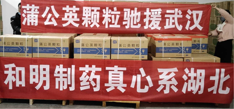 图片1_副本.png
